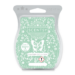 aloe water and cucumber scentsy bar
