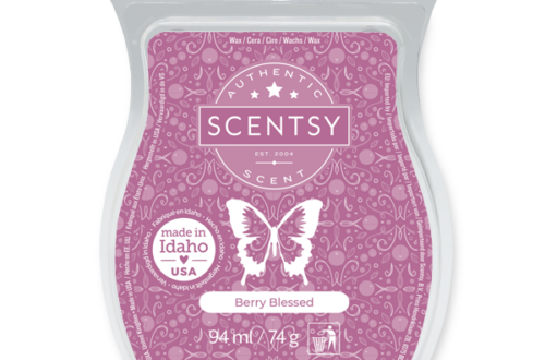 Berry Blessed Scentsy Bar