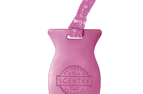 Berry Blessed Scentsy Car Bar