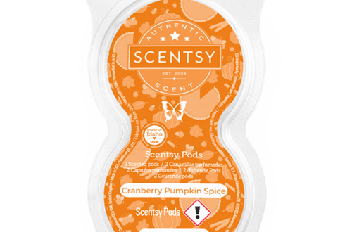Cranberry Pumpkin Spice Scentsy Pod Doppelpack