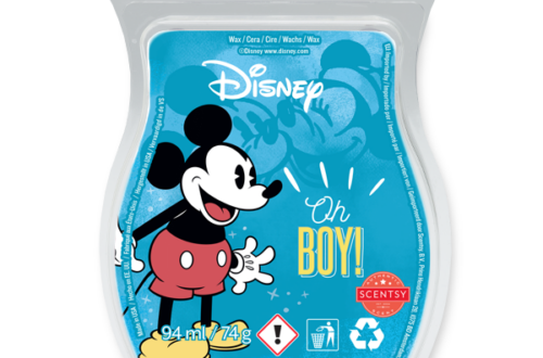 Disney Oh Boy! - Scentsy Bar