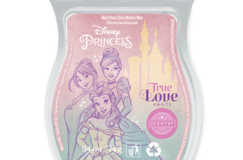 Disney Princess True Love Awaits Scentsy Bar