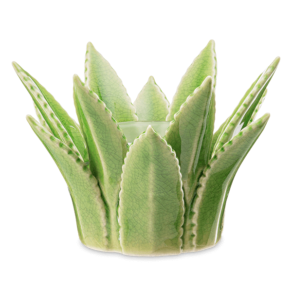 Elektrische Duftlampe Aloe Vera