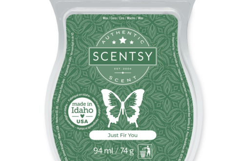 Scentsy Bar Just Fir You