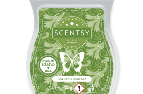 Sea Salt & Avocado Scentsy Bar