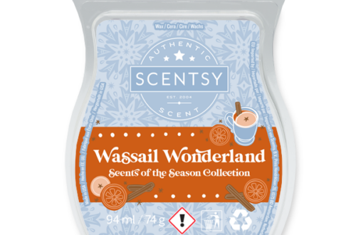 Wassail Wonderland Scentsy Bar